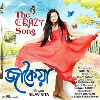 The Crazy Song